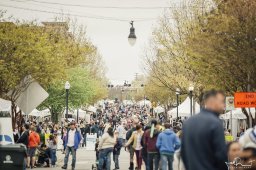 iMAGINE Upstate - 2018