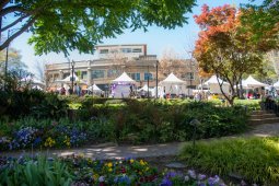 spring2tents-iu-2024